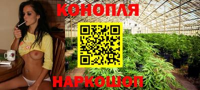 крисы Пушкино