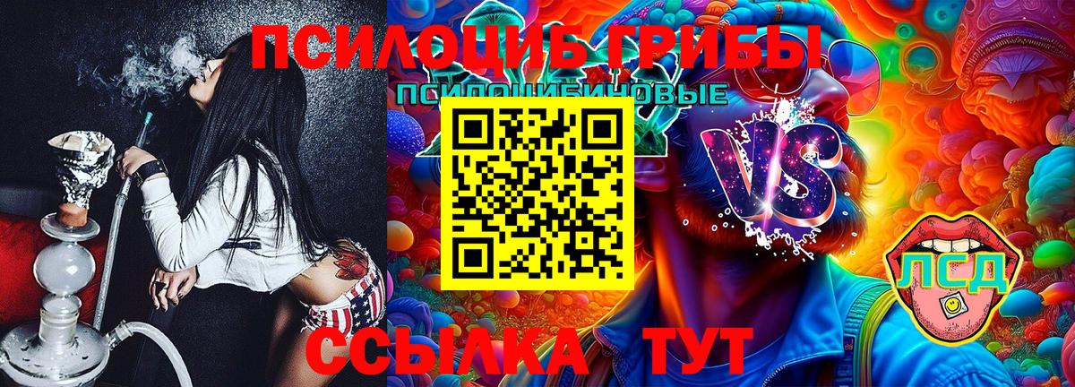 Галлюциногенные грибы Cubensis  Вход с VPN  Серов 